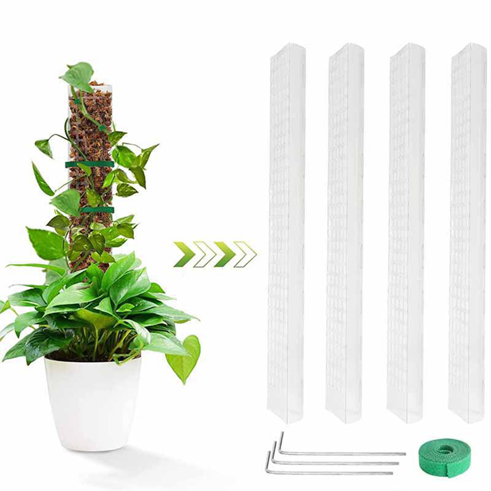 4PCS Climbing Plants Moss Pole - огляд і ціна Sphagnum Moss Dry