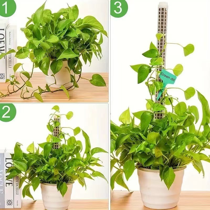 1/2/3pcs Self-watering Moss Po - огляд і ціна Sphagnum Moss Dry