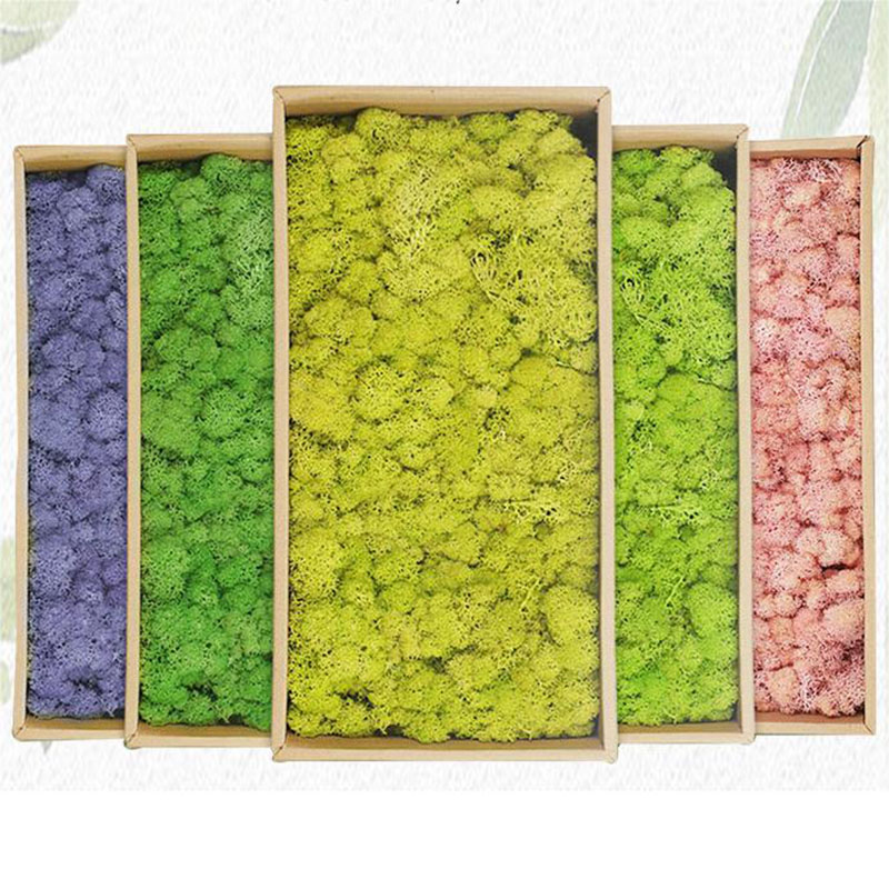 20g Artificial Green Moss Plan - огляд і ціна Sphagnum Moss Dry