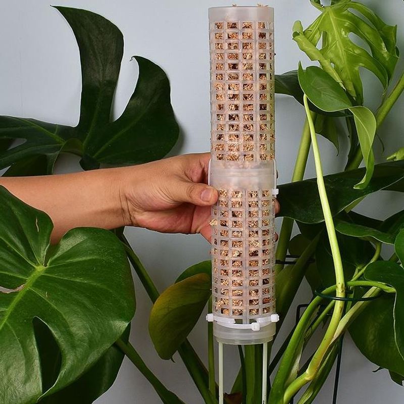 Sphagnum Moss Pole for Orchid  - огляд і ціна Sphagnum Moss Dry