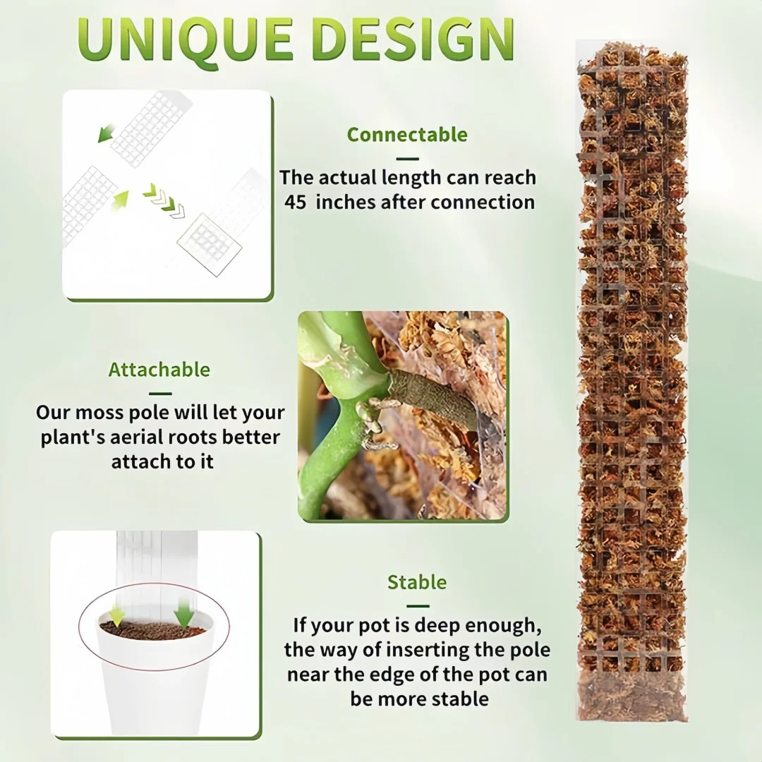 Moss Poles Plants Plastic Tran - огляд і ціна Sphagnum Moss Dry