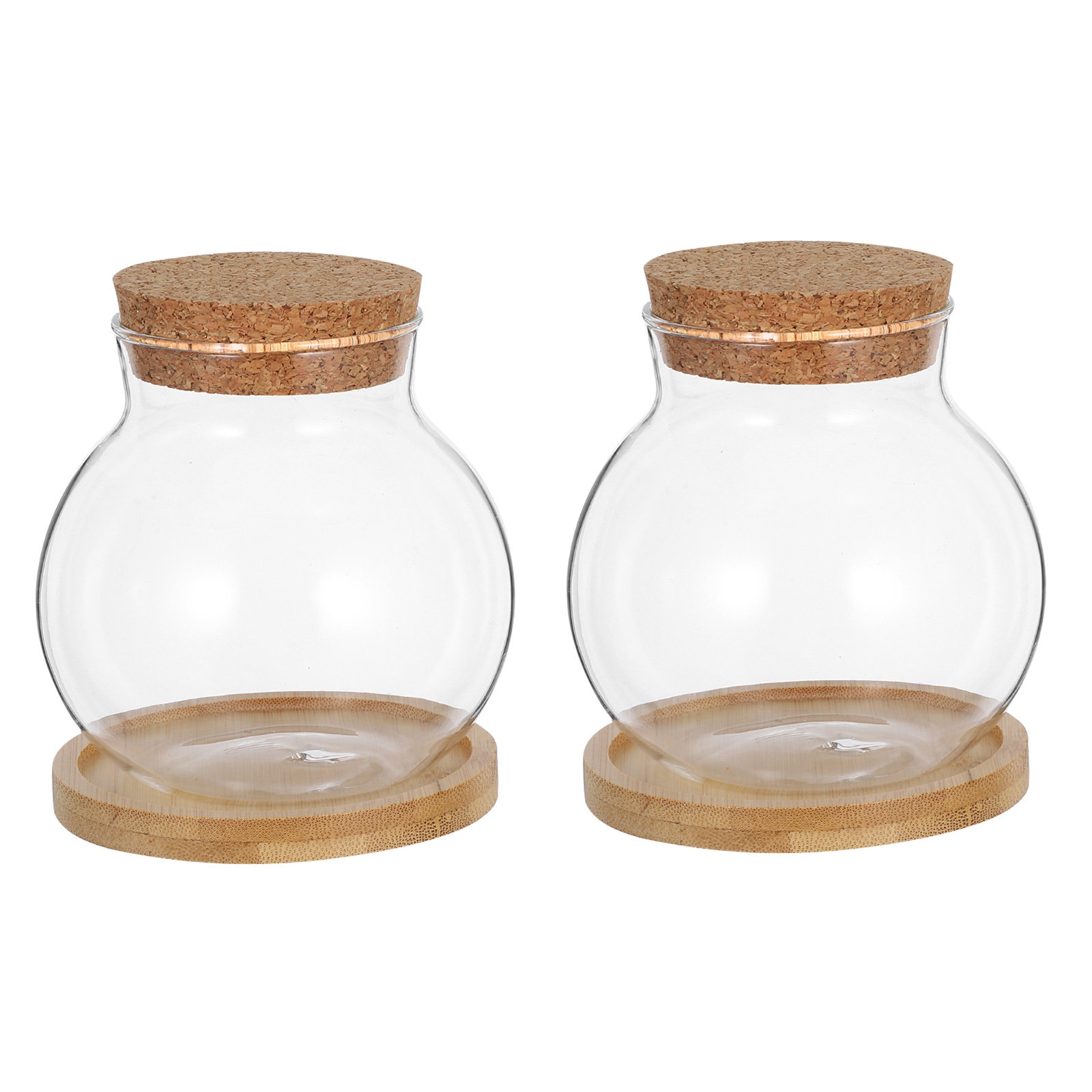 2Set Hydroponic Glass Elegant  - огляд і ціна Propagation Station Vase