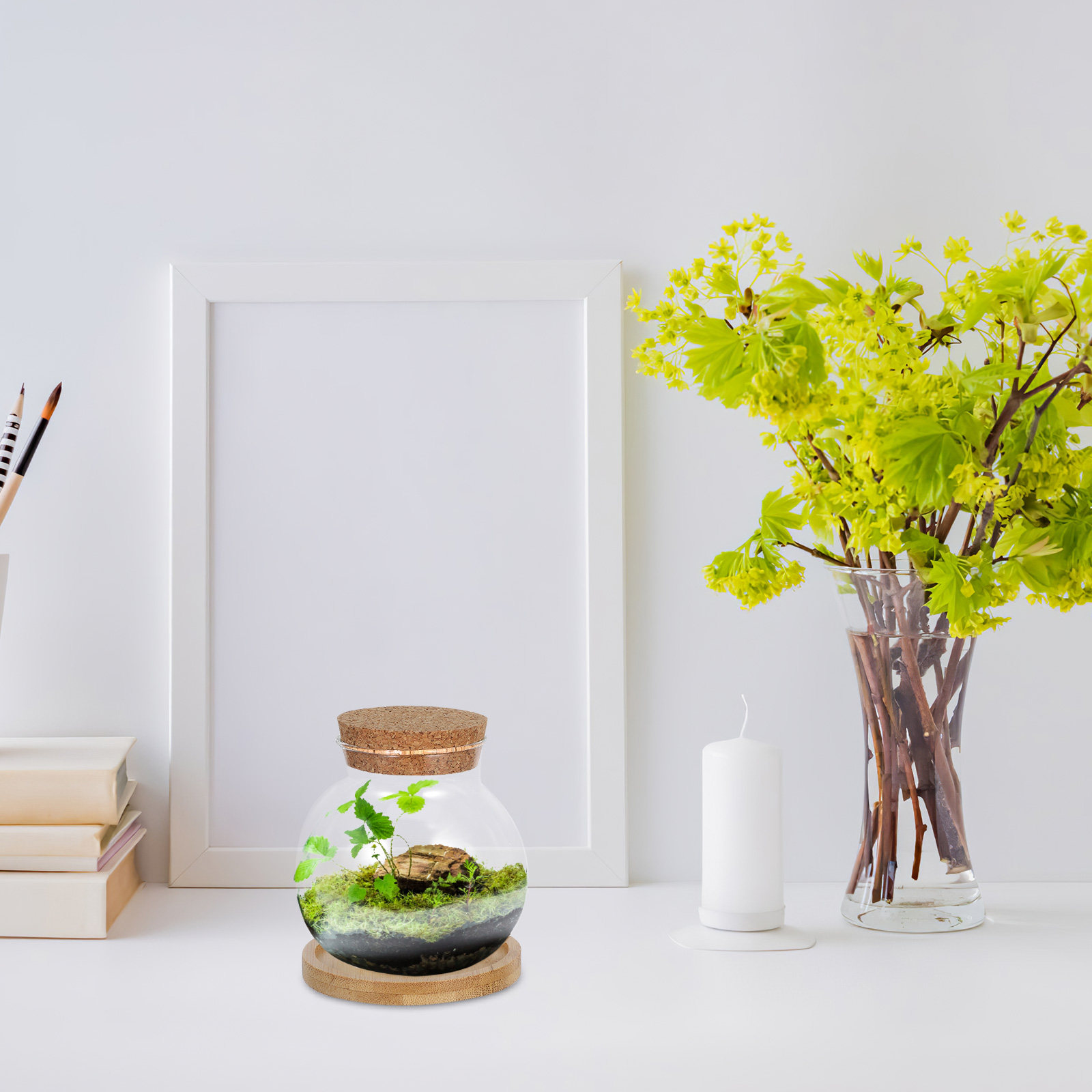 2Set Hydroponic Glass Elegant  - огляд і ціна Propagation Station Vase