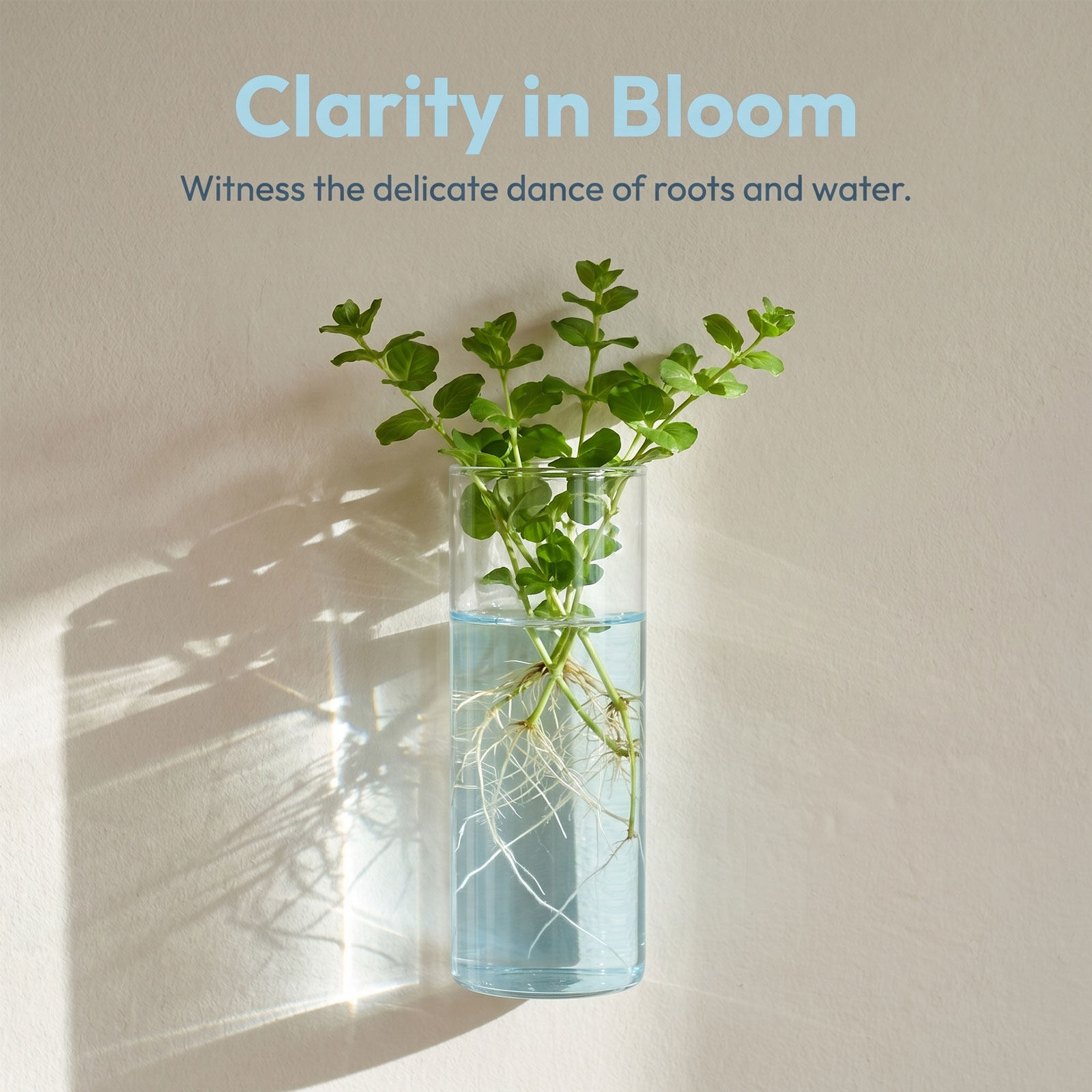 5Pcs Cylinder Glass Wall Vase  - огляд і ціна Propagation Station Vase